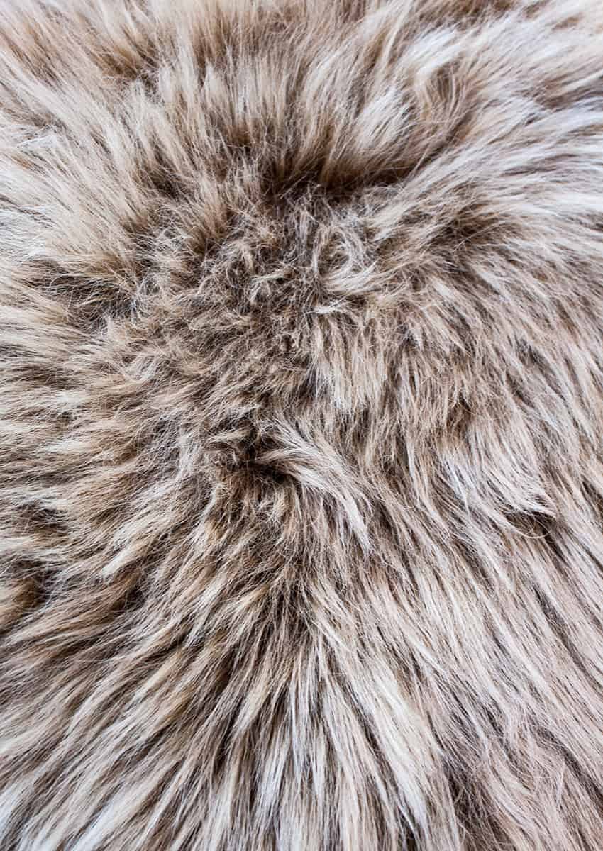 Lammfell, Nutria – Bild 3