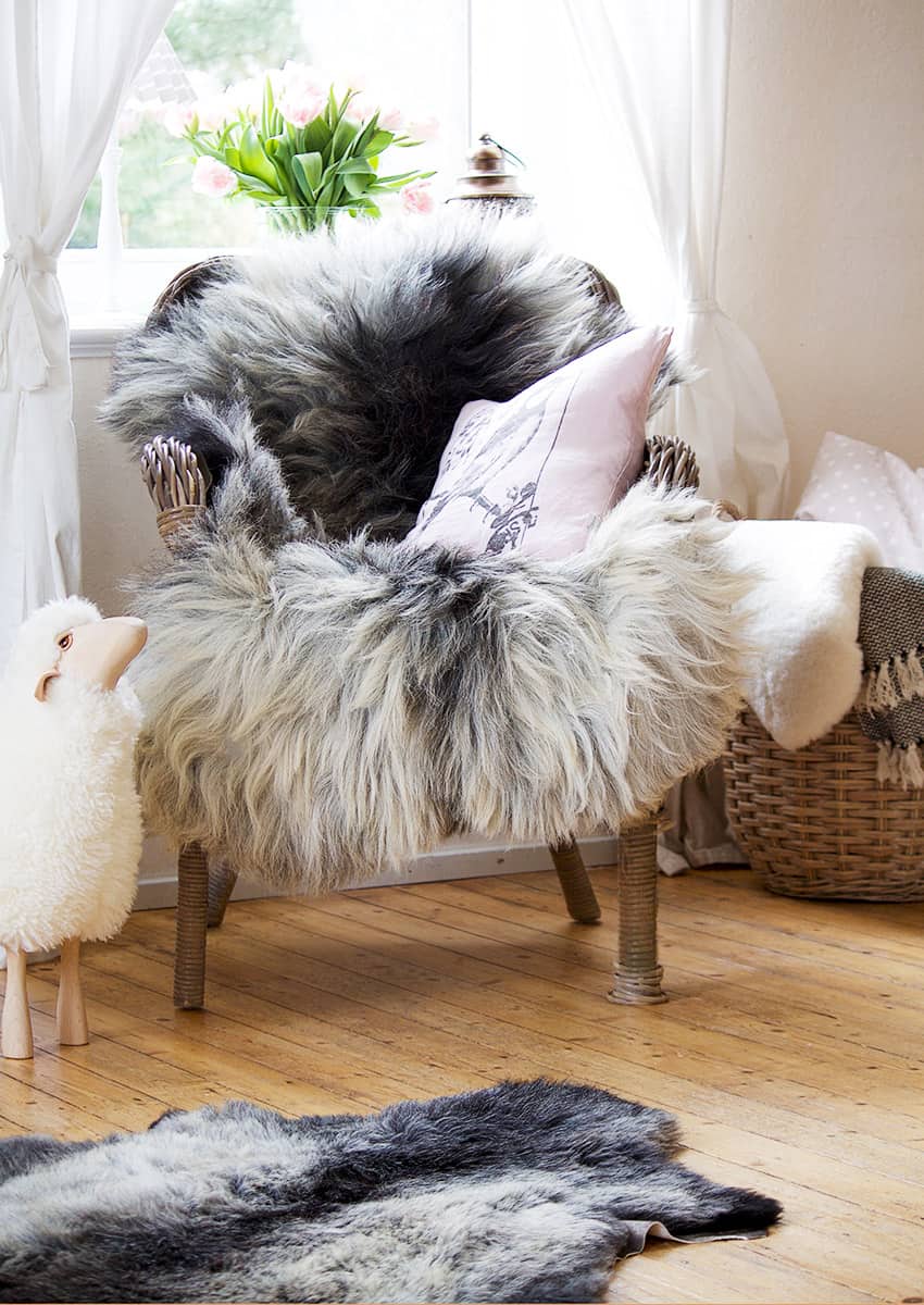 Heidschnuckenfell – Bild 2