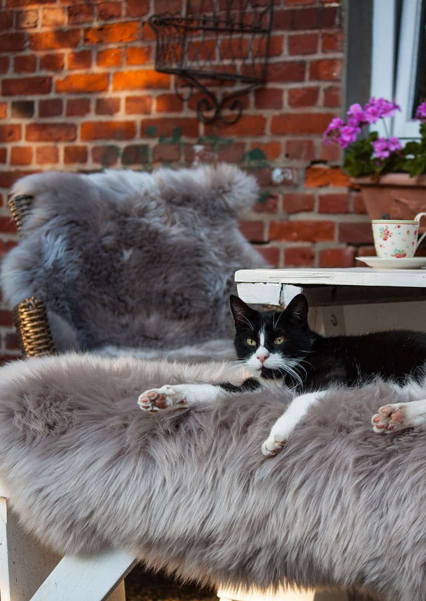 Doppel-Lammfell, Taupe – Bild 5