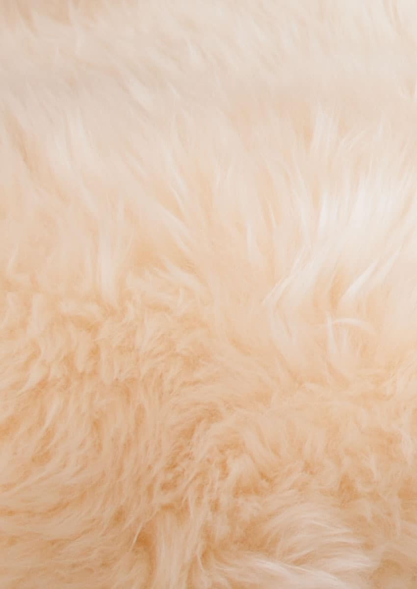 Lammfell, Champagner – Bild 3