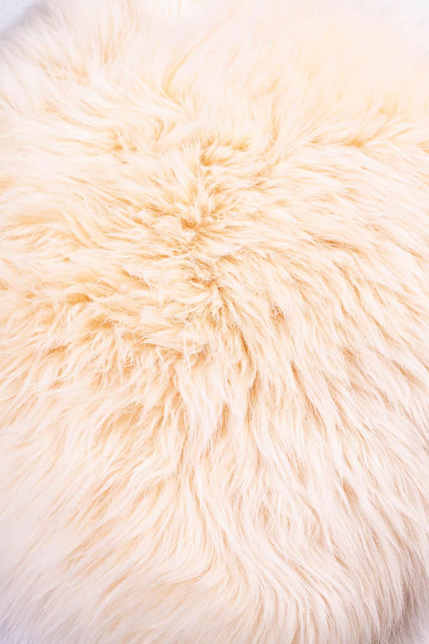 Stuhlauflage Quadrat, champagner – Bild 3