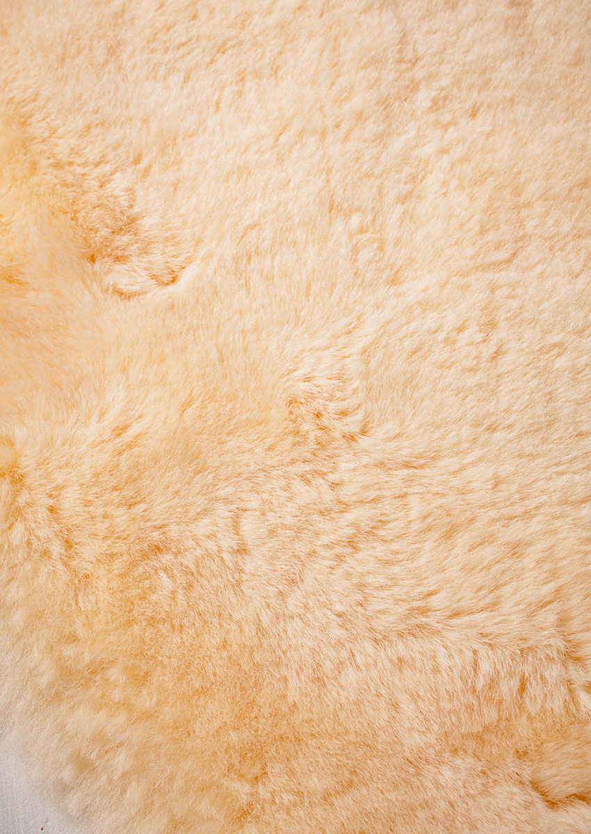 Baby Lammfell, medizinisch, Honig, Winter-Angebot – Bild 3