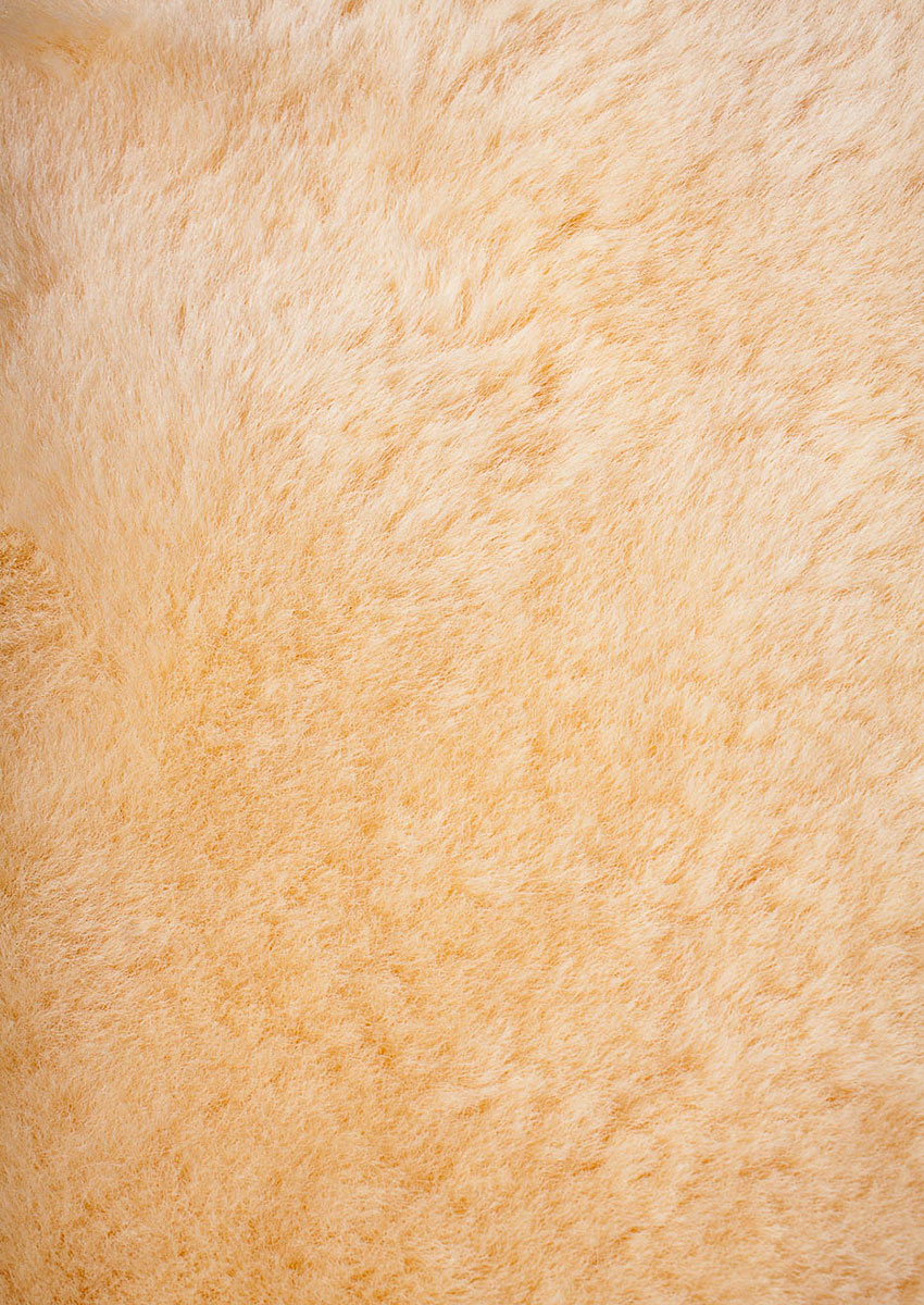 Baby Lammfell, medizinisch, Honig, Winter-Angebot – Bild 4