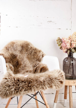 einzelfell-Nutria-8966