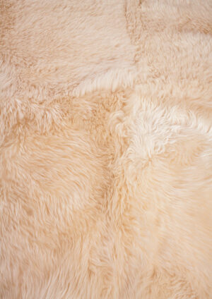 champagner4fach-0512