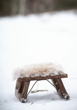FHVF_Winter_Heide-5422