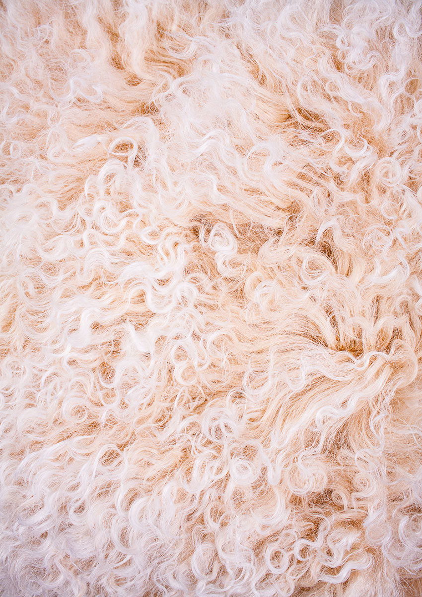 Tibet-Lammfell-Kissen, sunrise champagner-weiß – Bild 3