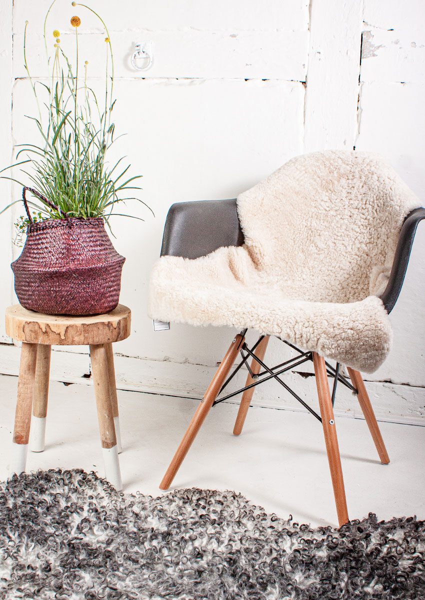 Curly Lammfell "leinen" – Bild 4