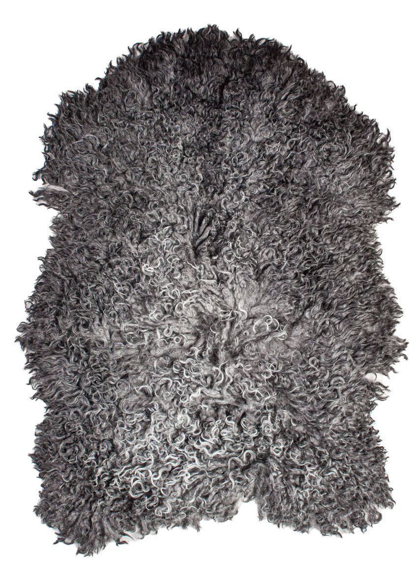 Gotland Schnucke "Unikat"21-0807