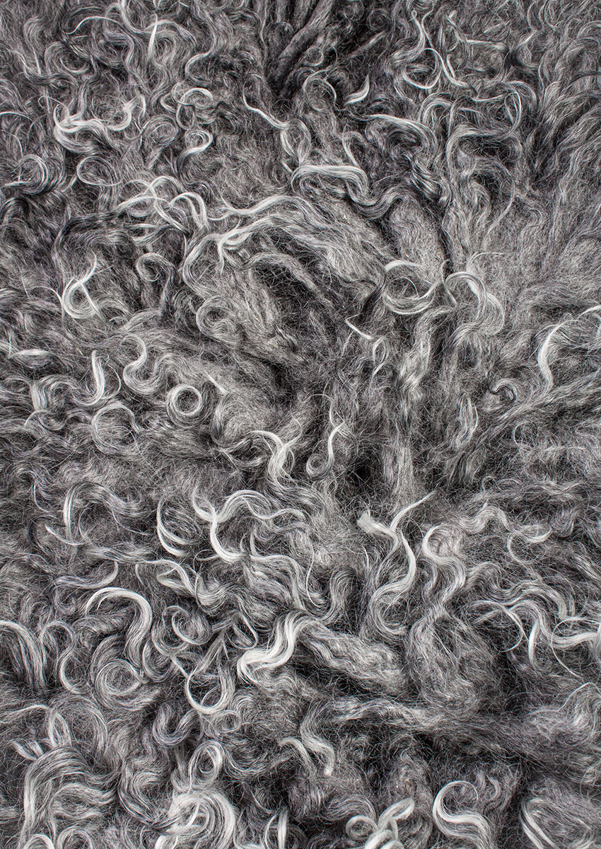 Gotland Schnucke "Unikat"21-0807 – Bild 3