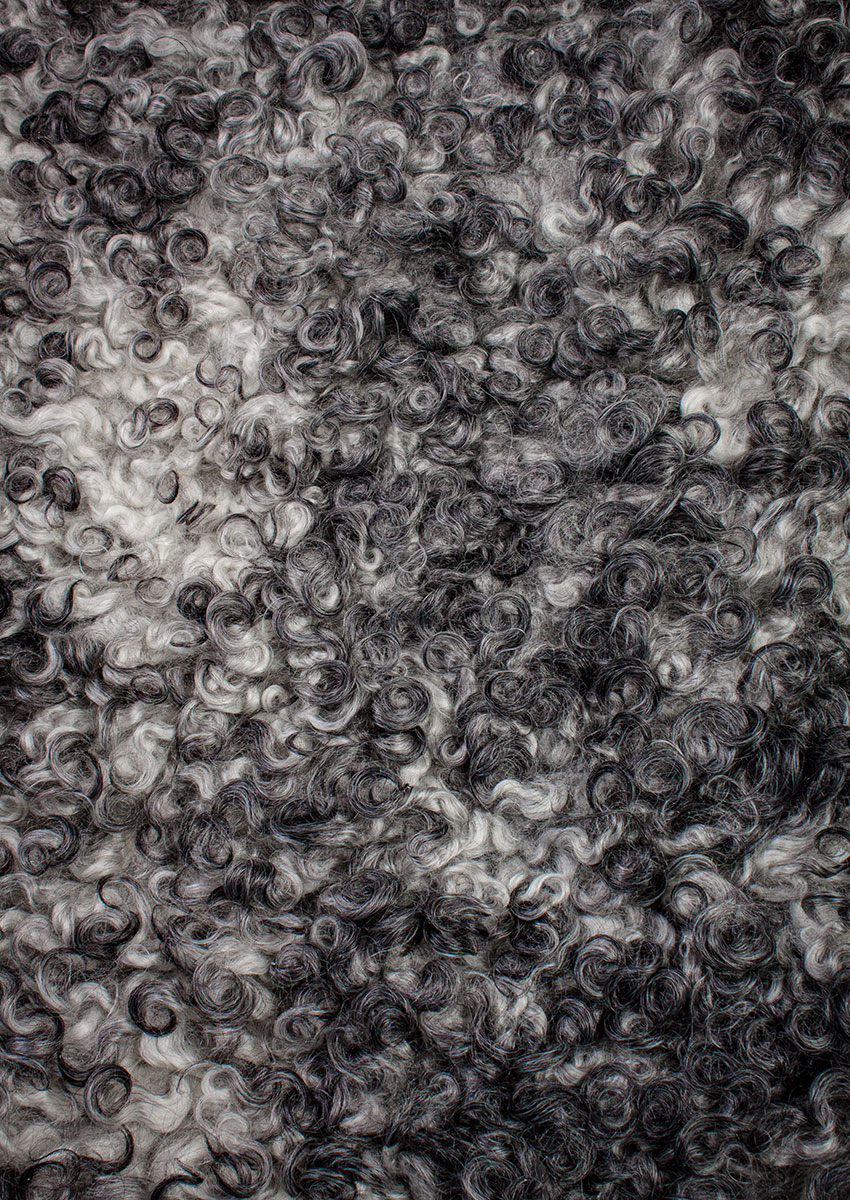 Gotland Schnucke "Unikat"21-0809 – Bild 3