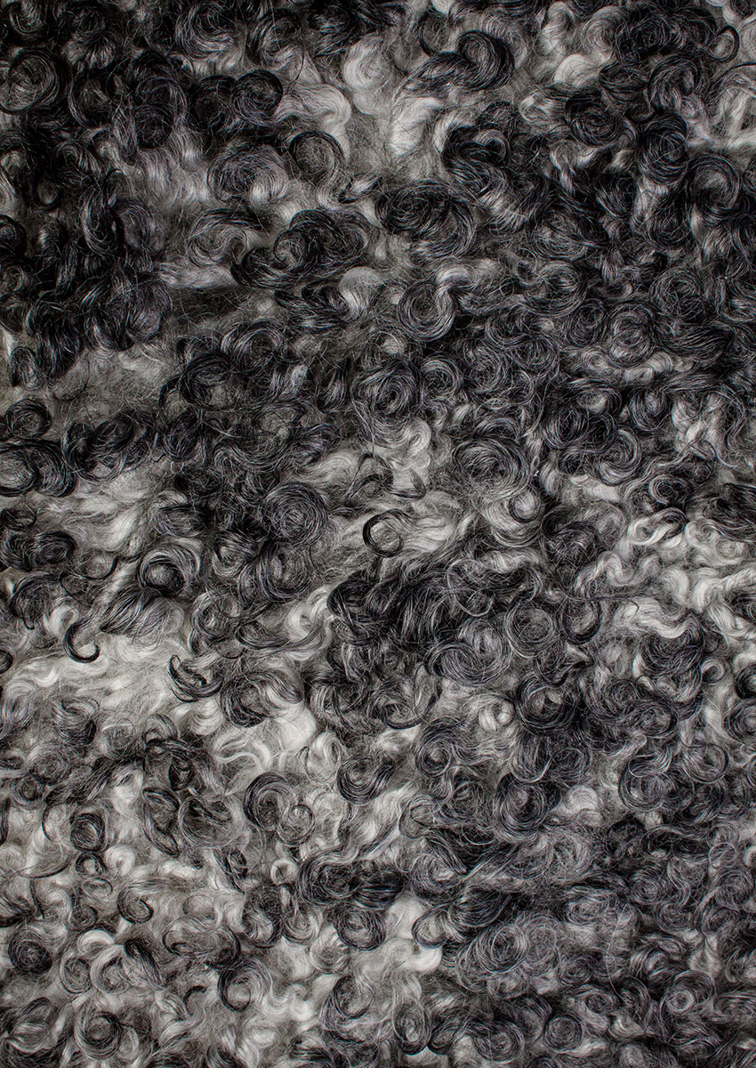 Gotland Schnucke "Unikat"21-0809 – Bild 4