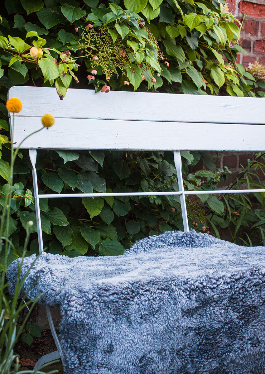 Curly Lammfell "grau-saphir" – Bild 5