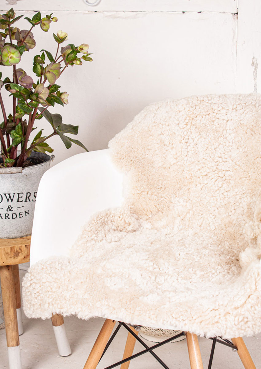 Curly Lammfell "leinen" – Bild 2