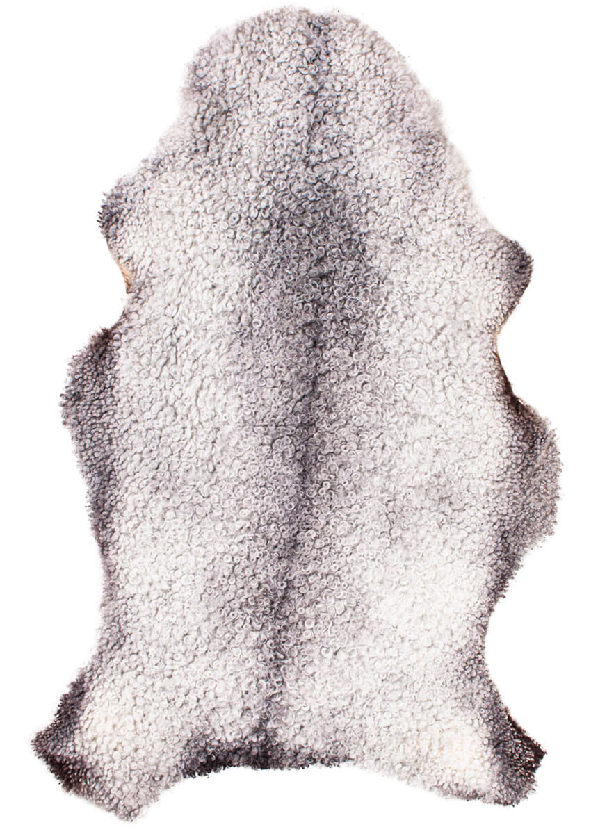 Gotland Schnucke "Unikat"22-02-007