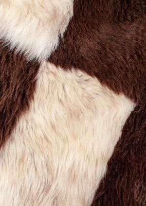 Wollschaf_-22-3-131-0139