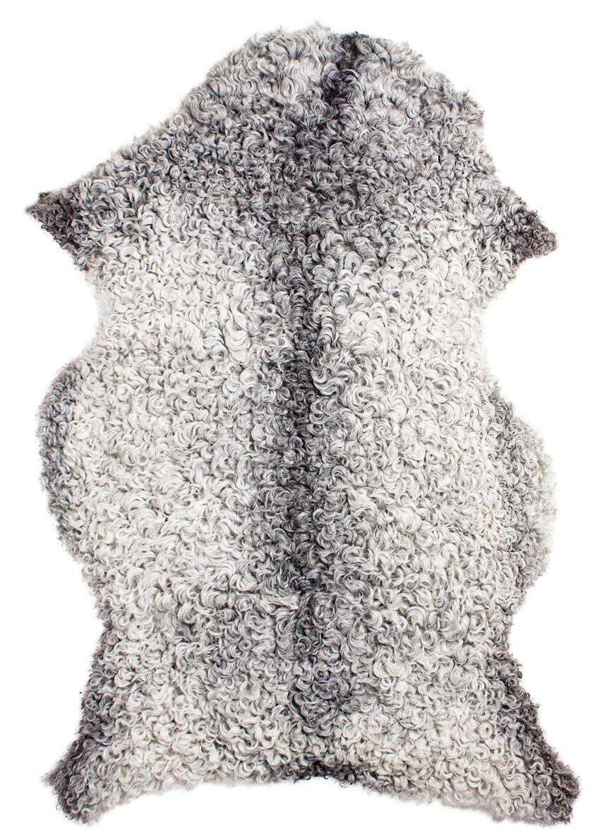 Gotland Schnucke "Unikat"22-8-195