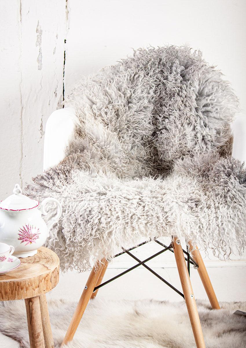 Gotlandschnucke_-22-8-199-4737