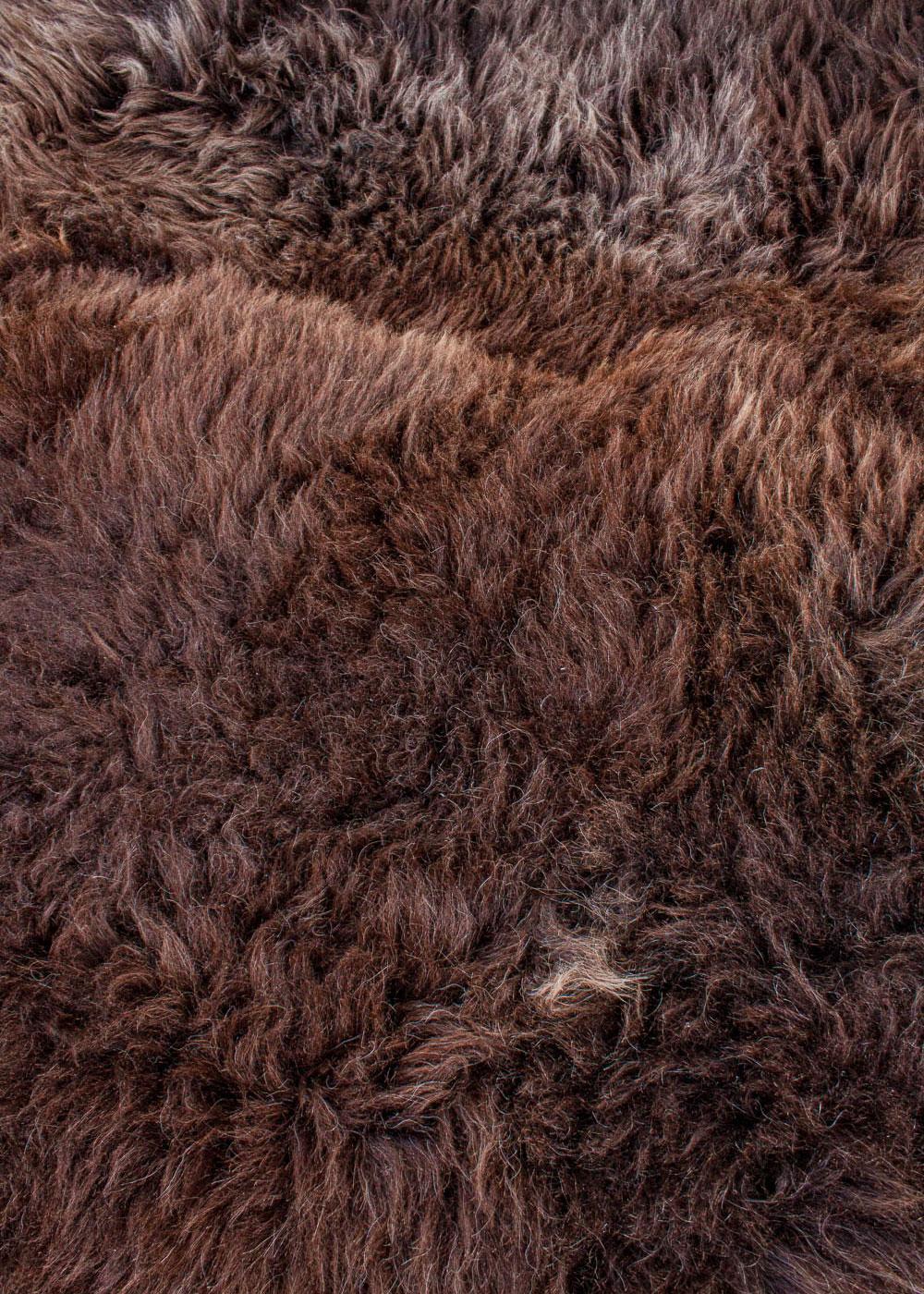 Deutsches_Wollschaf_vierfach7-8507