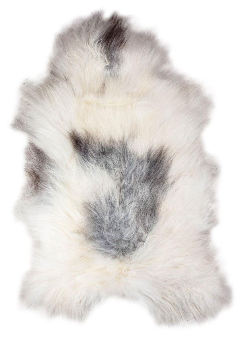 Grönlandschnucke "Unikat"23-1-18