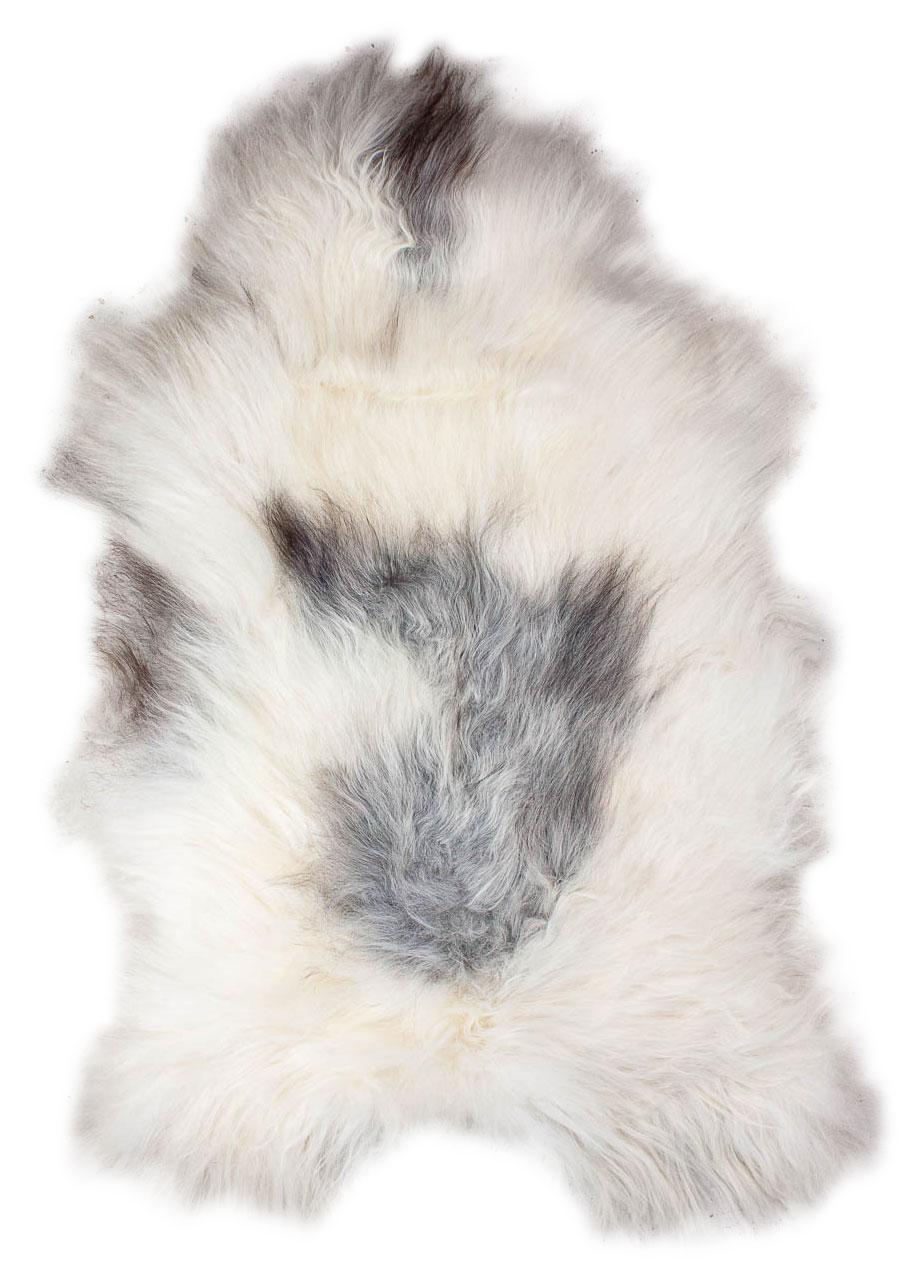 Grönlandschnucke "Unikat"23-1-18