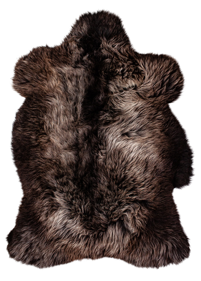 Deutsches Wollschaf "Unikat" 24-11-12