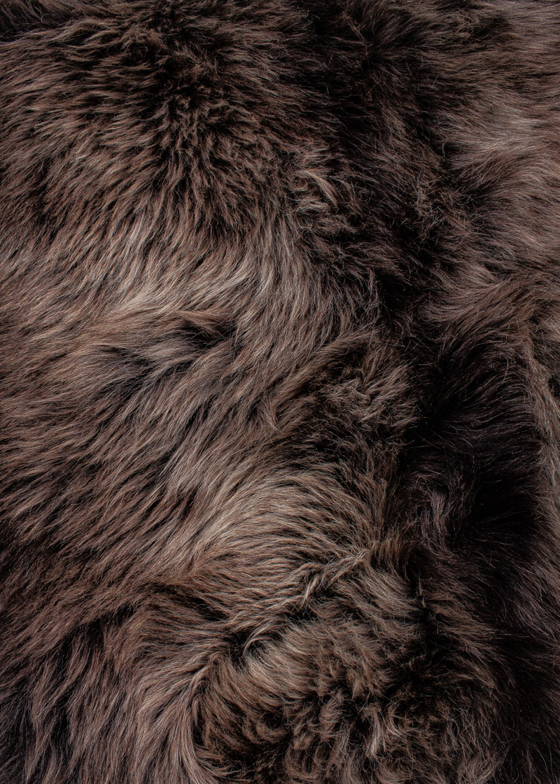 Deutsches Wollschaf "Unikat" 24-11-12 – Bild 3