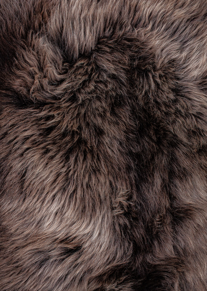 Deutsches Wollschaf "Unikat" 24-11-12 – Bild 4