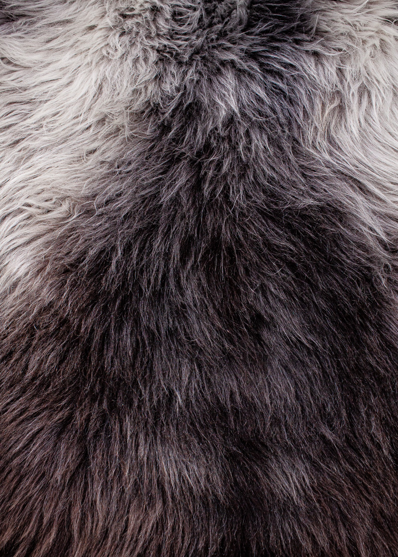 Deutsches Wollschaf "Unikat" 24-2610-14 – Bild 5