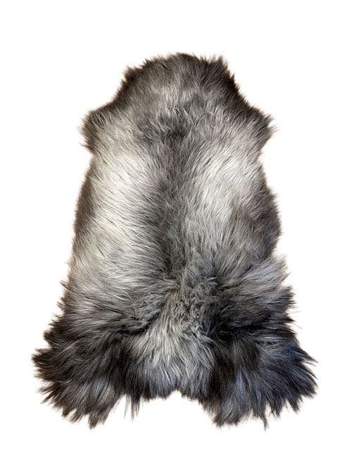 Echte Heidschnucke"Unikat"2025-11-09