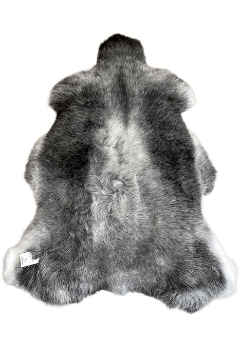 Echte Heidschnucke"Unikat"2025-261008