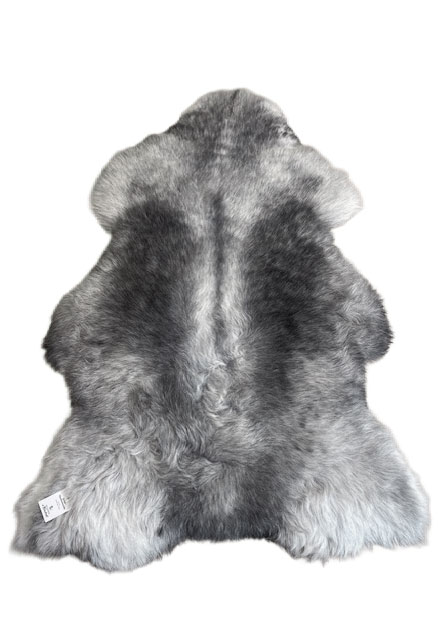 Echte Heidschnucke"Unikat"2025-261007