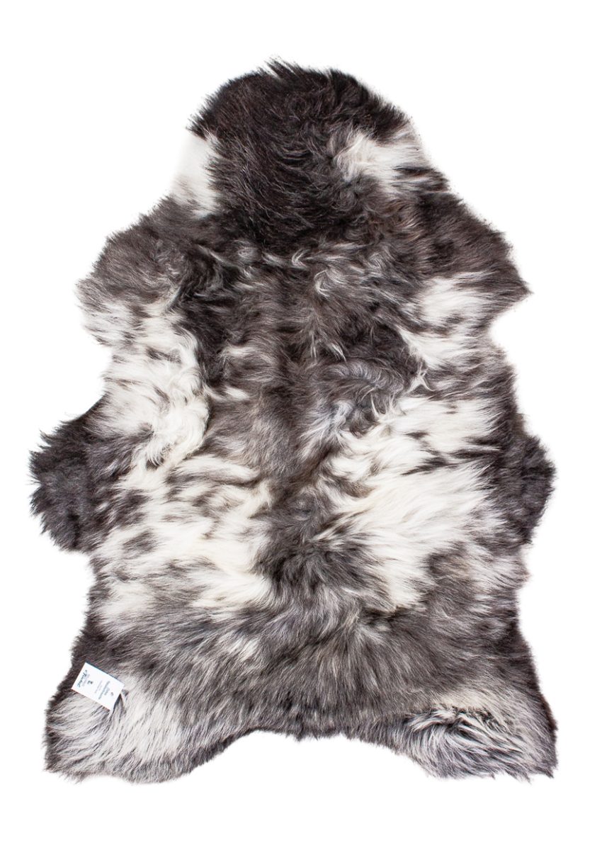 Echte Heidschnucke"Unikat"2025-11-2605