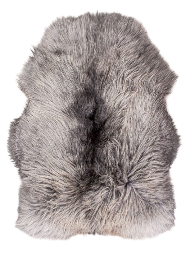 Echte Heidschnucke"Unikat"2026-2-015